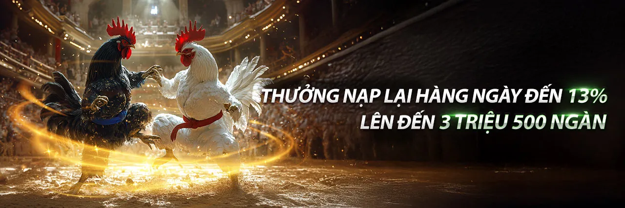 Chương trình VIP OK3565